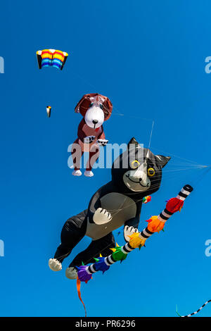 Novelty Cat and Dog kites being flown against a deep blue sky Stock Photo