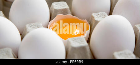 Cracked egg among other chicken eggs in carton egg box, close-up. Stock Photo