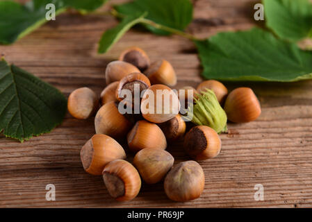 Hazelnuts Stock Photo