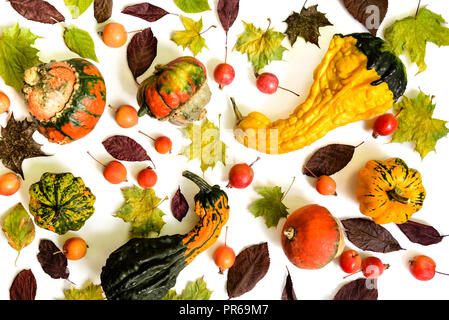 Pumpkins with fall leaves and paradise apples over white background. Top view. Stock Photo