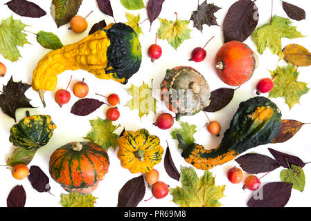 Pumpkins with fall leaves and paradise apples over white background. Top view. Stock Photo