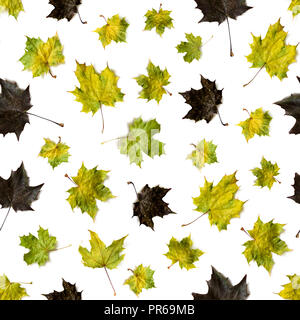 Autumn composition. Frame made of autumn maple leaves. Flat lay, top view, copy space. Seamless texture Stock Photo
