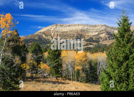 hogback mountain in the snowcrest range near alder, montana Stock Photo ...