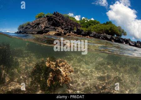 Algae and coral reef around one of the structures of the ancient city of Nan Madol, Unesco world heritage, Pohnpei, Federated States of Micronesia Stock Photo