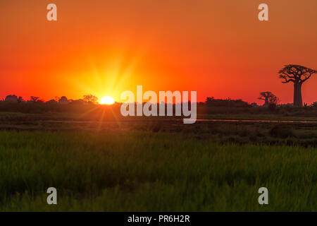 Amazing sunset in Madagascar near Allee de Baobab Stock Photo