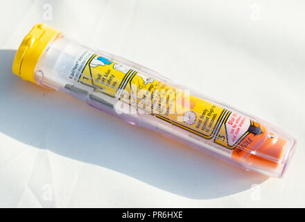 Epinephrine Autoinjector or Epipen for injecting doses of epinephrine or adrenaline through a needle into a patient suffering an allergy. Stock Photo