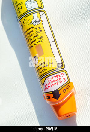 Epinephrine Autoinjector or Epipen for injecting doses of epinephrine or adrenaline through a needle into a patient suffering an allergy. Stock Photo