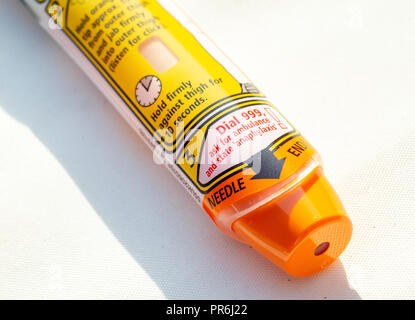 Epinephrine Autoinjector or Epipen for injecting doses of epinephrine or adrenaline through a needle into a patient suffering an allergy. Stock Photo