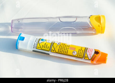 Epinephrine Autoinjector or Epipen for injecting doses of epinephrine or adrenaline through a needle into a patient suffering an allergy. Stock Photo