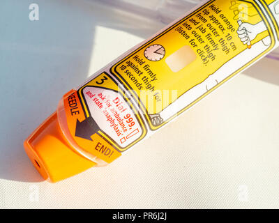 Epinephrine Autoinjector or Epipen for injecting doses of epinephrine or adrenaline through a needle into a patient suffering an allergy. Stock Photo