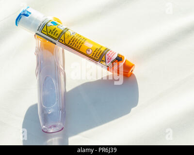 Epinephrine Autoinjector or Epipen for injecting doses of epinephrine or adrenaline through a needle into a patient suffering an allergy. Stock Photo