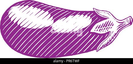 Illustration of Purple Vectorized Ink Sketch of Eggplant isolated on a White Background Stock Vector