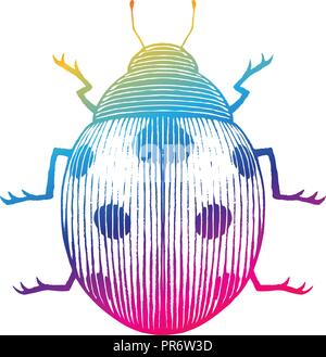 Illustration of Rainbow Colored Vectorized Ink Sketch of Ladybug isolated on a White Background Stock Vector
