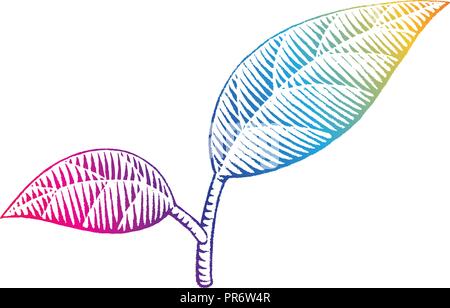 Illustration of Rainbow Colored Vectorized Ink Sketch of Leaves isolated on a White Background Stock Vector