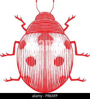 Illustration of Red Vectorized Ink Sketch of Ladybug isolated on a White Background Stock Vector