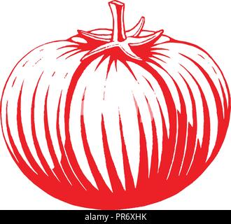 Illustration of Red Vectorized Ink Sketch of Tomato isolated on a White Background Stock Vector