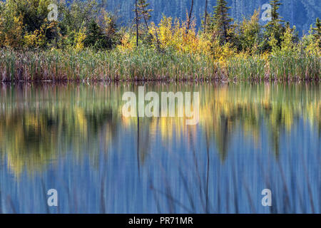 Talbot lake. Banff NP, Canada Stock Photo