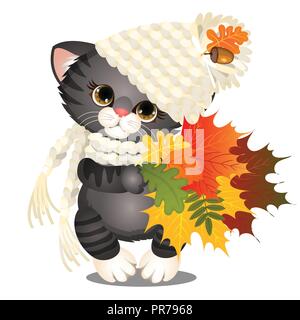Animated cute grey kitten in a warm knitted hat with pompom holding in paws a bundle of colorful dried leaves of trees isolated on white background. Golden autumn. Vector cartoon close-up illustration Stock Vector