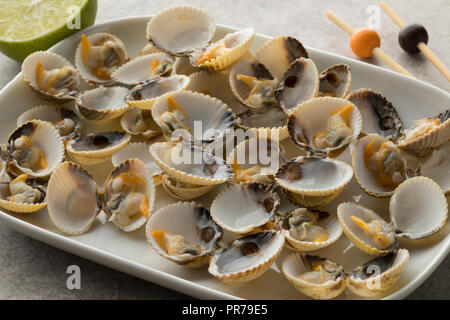 Fresh cooked common cockles on a plate closeup Stock Photo