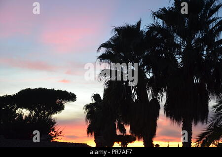 Silhouettes at sunset Stock Photo