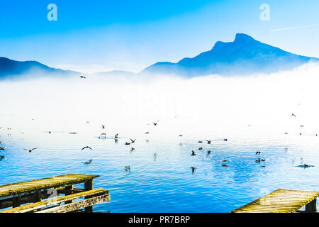 View on foggy mountain landscape with seagulls on Pier of lake Mondsee in Austria Stock Photo