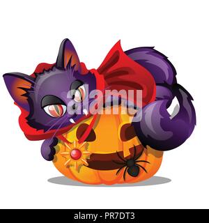 Purple cat with bared fang lying on Jack-o-lantern, black spider isolated on white background. Sketch for poster or card for holiday of all evil spirits Halloween. Vector cartoon close-up illustration Stock Vector