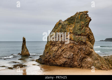 Three Kings red quartzite sea stacks on Cullen Bay beach on the North Sea Moray Scotland UK Stock Photo