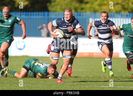Coventry, UK. 29th Sept 2018. Rugby Union.   James Voss on the charge for Coventry during the Greene King Championship match played between Coventry and London Irish rfc at the Butts Park Arena, Coventry.  © Phil Hutchinson/Alamy Live News Stock Photo