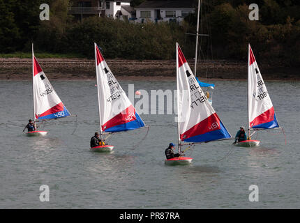 Crosshaven, Cork, Ireland. 30th September, 2018. Topper sailing dinghys from the Royal Cork Yacht Club out practicing in the harbour on a Sunday afternoon. Credit: David Creedon/Alamy Live News Stock Photo