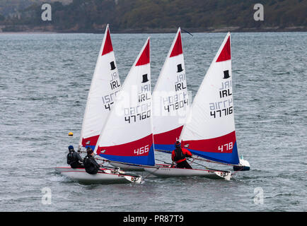 Crosshaven, Cork, Ireland. 30th September, 2018. Topper sailing dinghys from the Royal Cork Yacht Club out practicing in the harbour on a Sunday afternoon. Credit: David Creedon/Alamy Live News Stock Photo