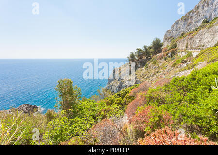 Apulia, Leuca, Italy, Grotto of Ciolo - Vegetation at the coastline of Grotto Ciolo Stock Photo