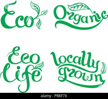 vector collection of leaf signs, symbols and organic slogans Stock Vector
