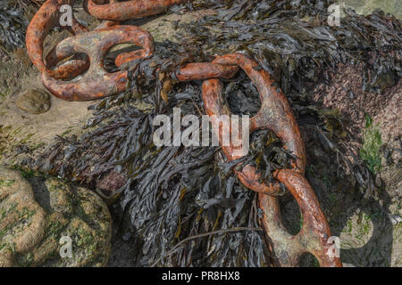 Harbour scenes around Newquay, Cornwall.  Very large rusting mooring chain links. Metaphor strong links, strongest link, forge links, close ties. Stock Photo