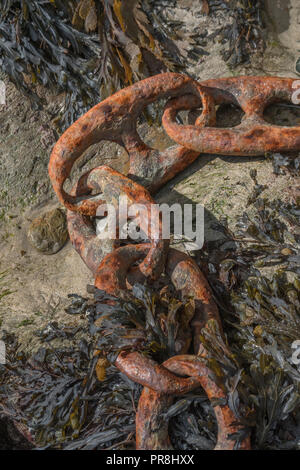 Harbour scenes around Newquay, Cornwall.  Very large rusting mooring chain links. Metaphor strong links, strongest link, forge links, close ties. Stock Photo