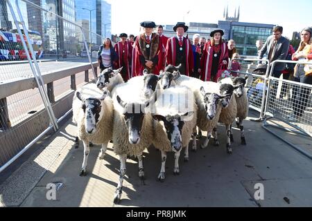 ALAN TITCHMARSH DRIVES THE SHEEP OVER LONDON BRIDGE 2018 Stock Photo