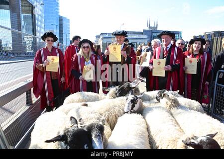 ALAN TITCHMARSH DRIVES THE SHEEP OVER LONDON BRIDGE 2018 Stock Photo