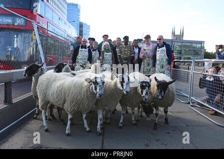 ALAN TITCHMARSH DRIVES THE SHEEP OVER LONDON BRIDGE 2018 Stock Photo