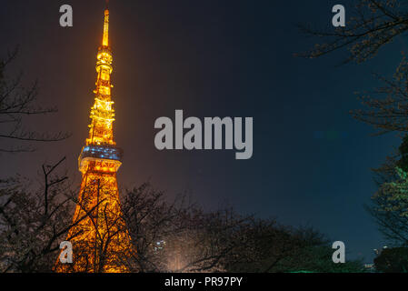 Tokyo tower and Sakura Cherry blossom in spring season at Tokyo, Japan. Stock Photo