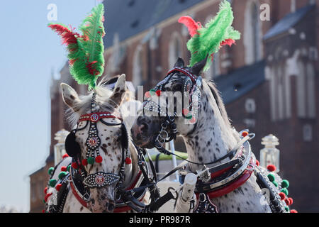 Krakow, Poland - September 20, 2018: Horses harnessed to a carriage against Saint Mary's Church in Krakow. The bulk of the city's historic area has be Stock Photo