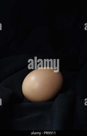 Eggs in a nest on hemp sack, dark corner. Stock Photo