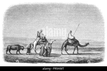 19th century illustration of caravan in the desert. After drawing by de Marilhat, exhibited in 1844. Original artwork published in Le magasin Pittores Stock Photo