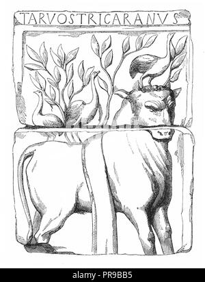 19th century illustration of Tarvos Trigaranus.  Tarvos Trigaranus or Taruos Trigaranos is a divine figure who appears on a relief panel of the Pillar Stock Photo