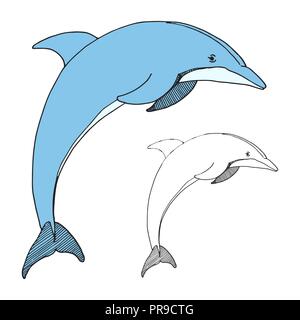 Hand drawn dolphin. Vector illustration in sketch style Stock Vector