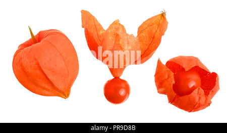 physalis isolated on white background. Top view. Flat lay pattern. Set or collection Stock Photo