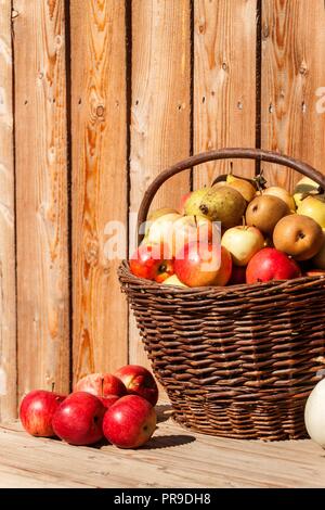 Wicker basket with apples and pears. Autumn harvest of fruit. Fresh fruit in a basket Stock Photo