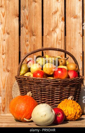 Wicker basket with apples and pears. Autumn harvest of fruit. Fresh fruit in a basket Stock Photo