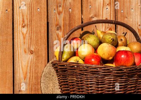 Wicker basket with apples and pears. Autumn harvest of fruit. Fresh fruit in a basket Stock Photo
