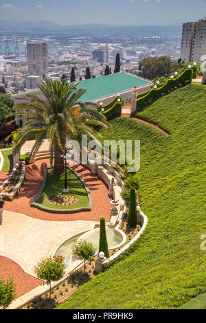 View Of An Olive Tree In A Landscaped Garden Along The Shore Of Lake view-of-an-olive-tree-in-a-landscaped-garden-along-the-shore-of-lake
