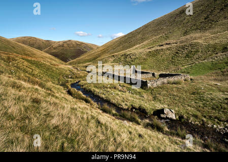 The Howgill Fells rear Sedbergh, Yorkshire Dales National Park, UK. An old sheepfold is seen in the centre.