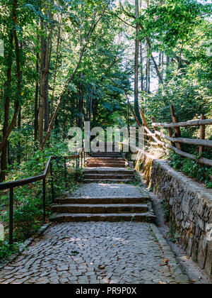 Stairs In Carpathian Forest Of Romania Stock Photo